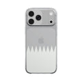 QATAR CASE